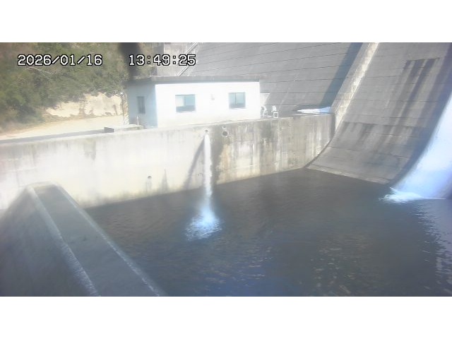 東郷ダム１（下流）2026/01/16 15:50:00