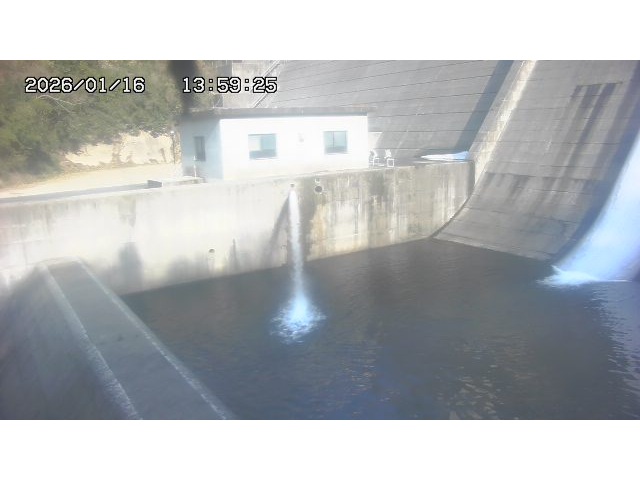 東郷ダム１（下流）2026/01/16 15:50:00