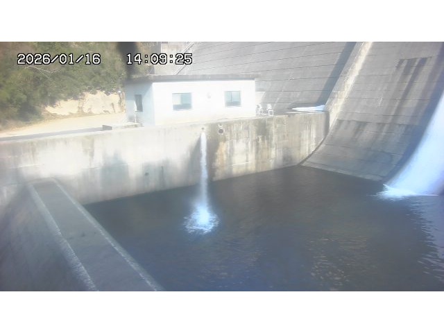 東郷ダム１（下流）2026/01/16 15:50:00