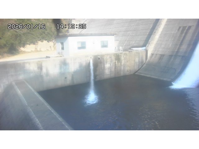 東郷ダム１（下流）2026/01/16 15:50:00