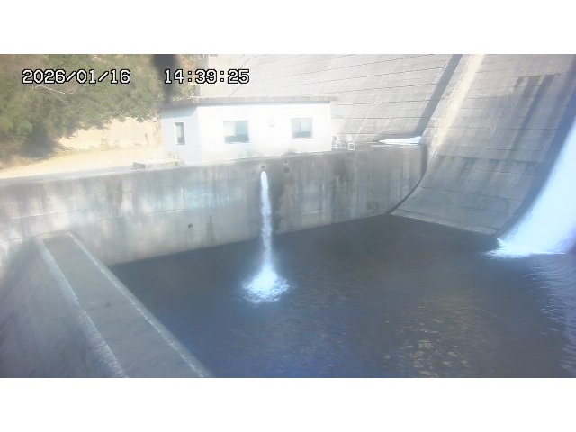 東郷ダム１（下流）2026/01/16 15:50:00