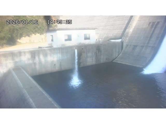 東郷ダム１（下流）2026/01/16 15:50:00