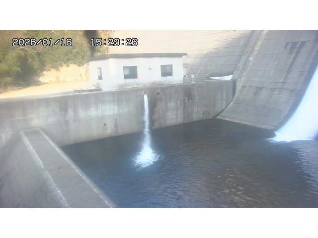 東郷ダム１（下流）2026/01/16 15:50:00