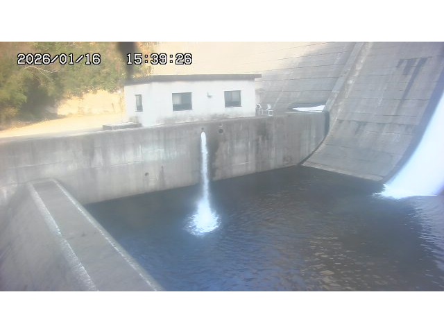 東郷ダム１（下流）2026/01/16 15:50:00