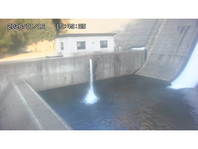 東郷ダム１（下流）2026/01/16 15:50:00
