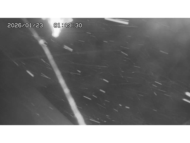 東郷ダム１（下流）2026/01/24 2:00:00