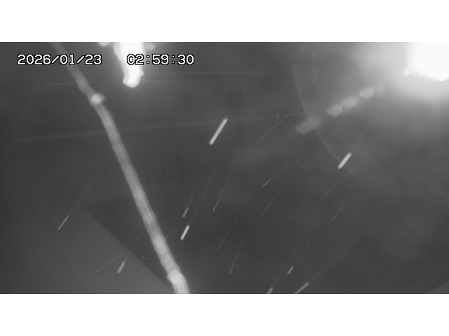 東郷ダム１（下流）2026/01/24 2:00:00