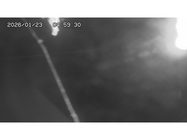 東郷ダム１（下流）2026/01/24 2:00:00