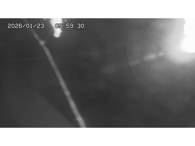 東郷ダム１（下流）2026/01/24 2:00:00