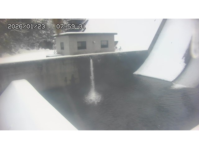 東郷ダム１（下流）2026/01/24 2:00:00