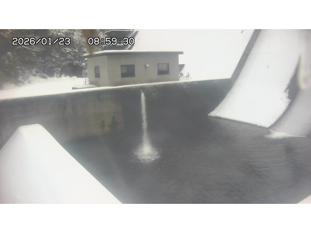 東郷ダム１（下流）2026/01/24 2:00:00
