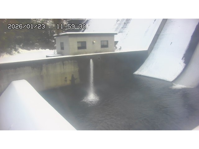 東郷ダム１（下流）2026/01/24 2:00:00
