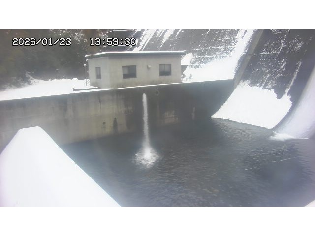 東郷ダム１（下流）2026/01/24 2:00:00