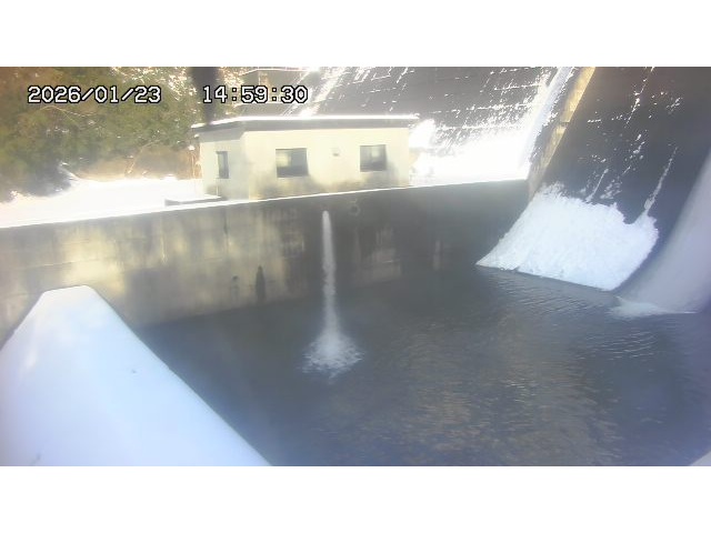 東郷ダム１（下流）2026/01/24 2:00:00