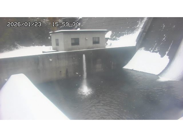 東郷ダム１（下流）2026/01/24 2:00:00