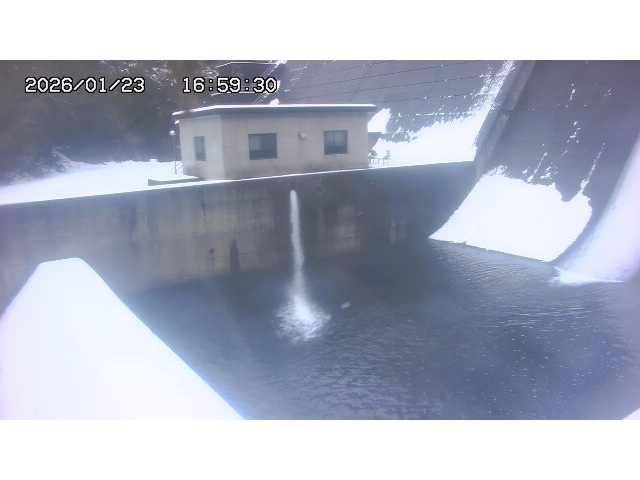 東郷ダム１（下流）2026/01/24 2:00:00