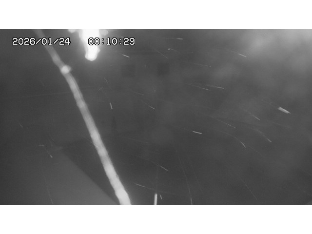 東郷ダム１（下流）2026/01/24 2:00:00