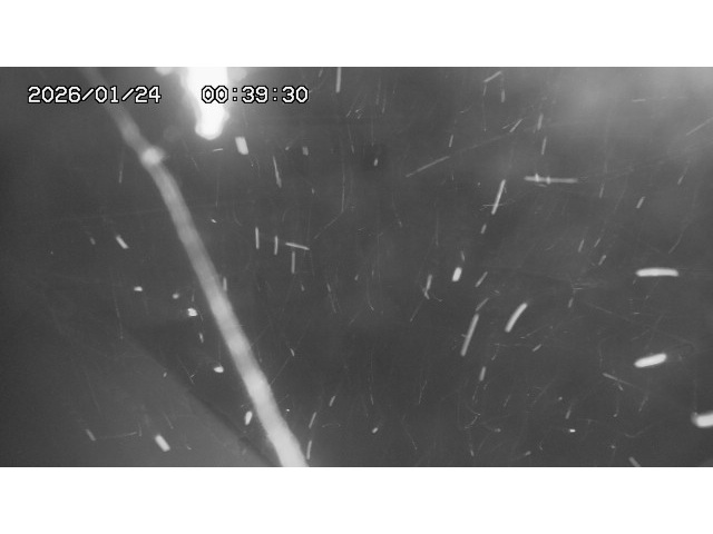 東郷ダム１（下流）2026/01/24 2:00:00