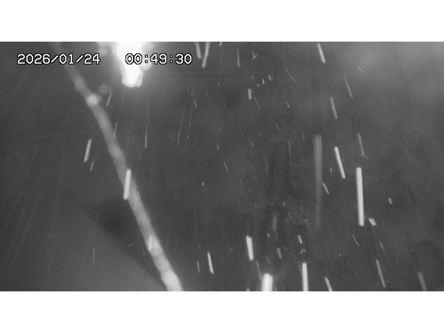 東郷ダム１（下流）2026/01/24 2:00:00