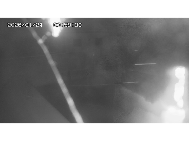 東郷ダム１（下流）2026/01/24 2:00:00