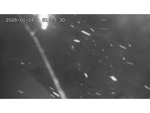 東郷ダム１（下流）2026/01/24 2:00:00