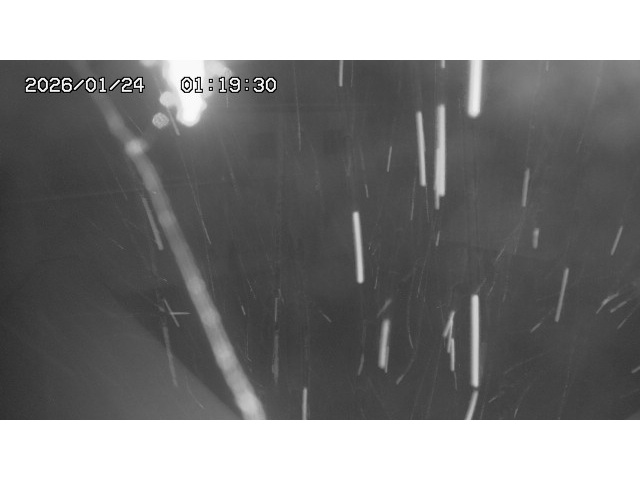 東郷ダム１（下流）2026/01/24 2:00:00