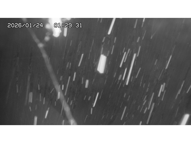 東郷ダム１（下流）2026/01/24 2:00:00