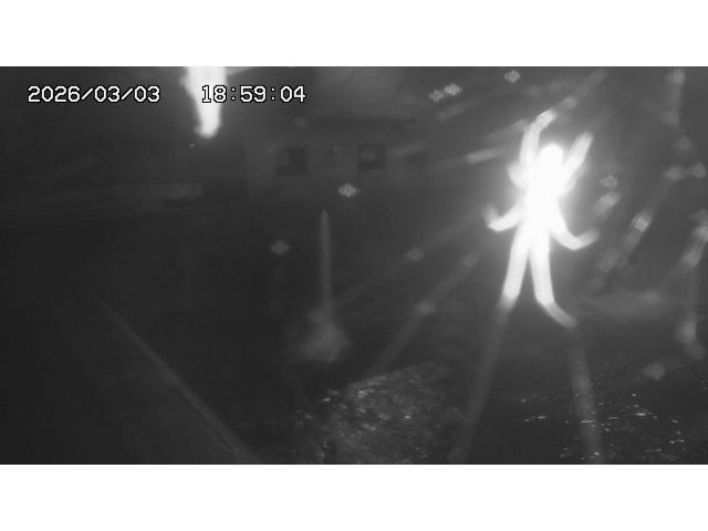 東郷ダム１（下流）2026/03/04 12:40