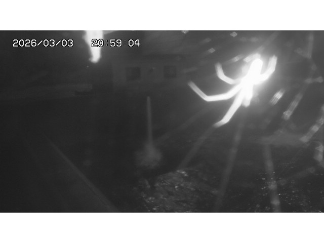 東郷ダム１（下流）2026/03/04 12:40