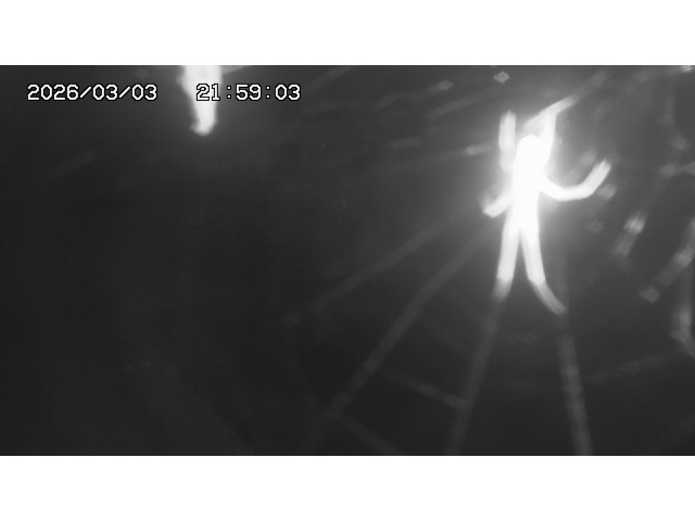 東郷ダム１（下流）2026/03/04 12:40