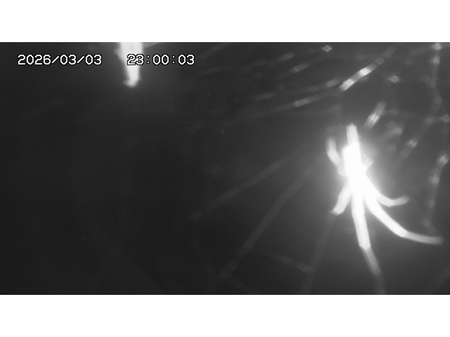 東郷ダム１（下流）2026/03/04 12:40