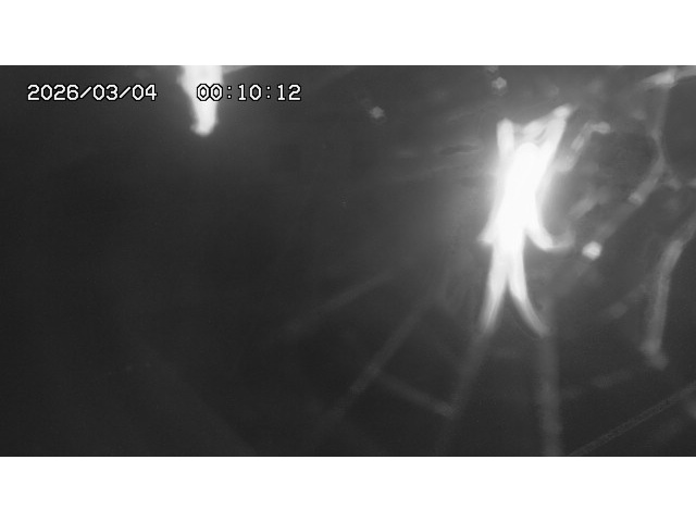 東郷ダム１（下流）2026/03/04 12:40