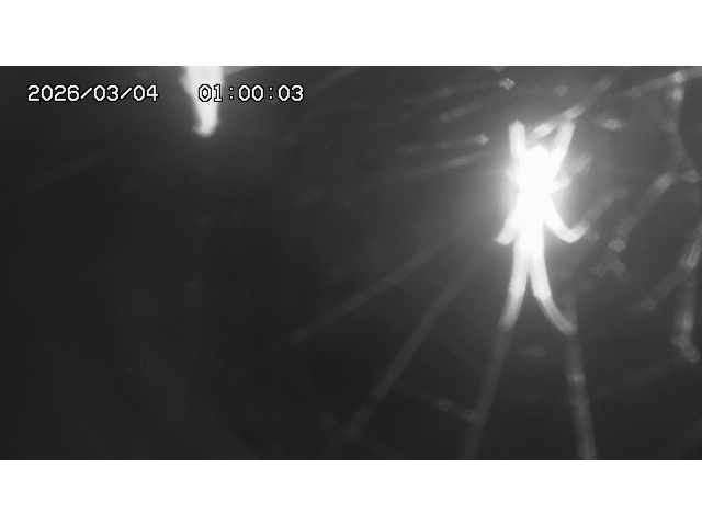 東郷ダム１（下流）2026/03/04 12:40