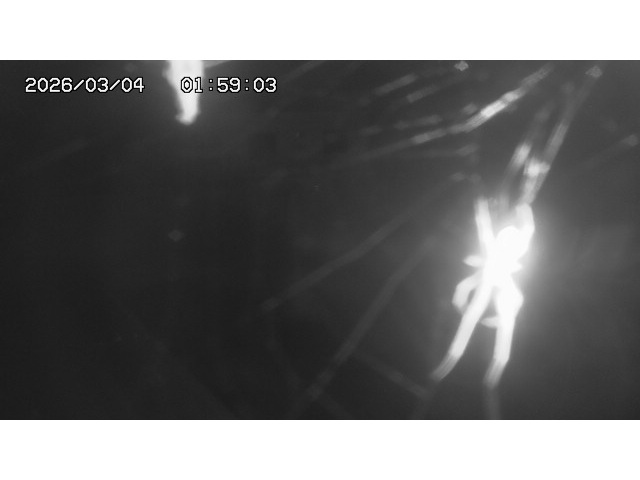 東郷ダム１（下流）2026/03/04 12:40