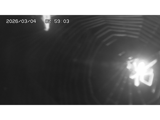 東郷ダム１（下流）2026/03/04 12:40