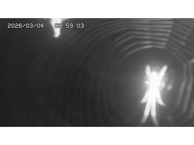 東郷ダム１（下流）2026/03/04 12:40