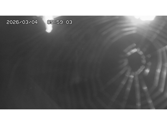 東郷ダム１（下流）2026/03/04 12:40