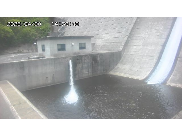 東郷ダム１（下流）2026/05/01 14:20:00