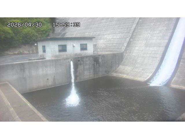 東郷ダム１（下流）2026/05/01 14:20:00