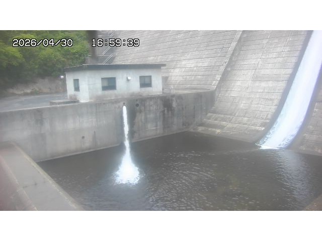 東郷ダム１（下流）2026/05/01 14:20:00