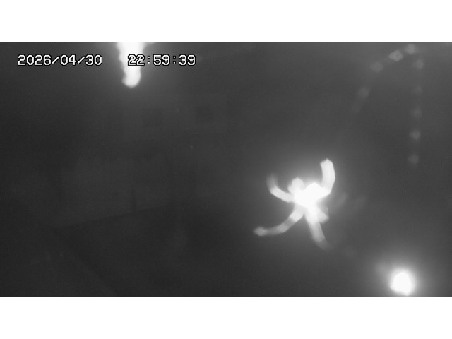 東郷ダム１（下流）2026/05/01 14:20:00