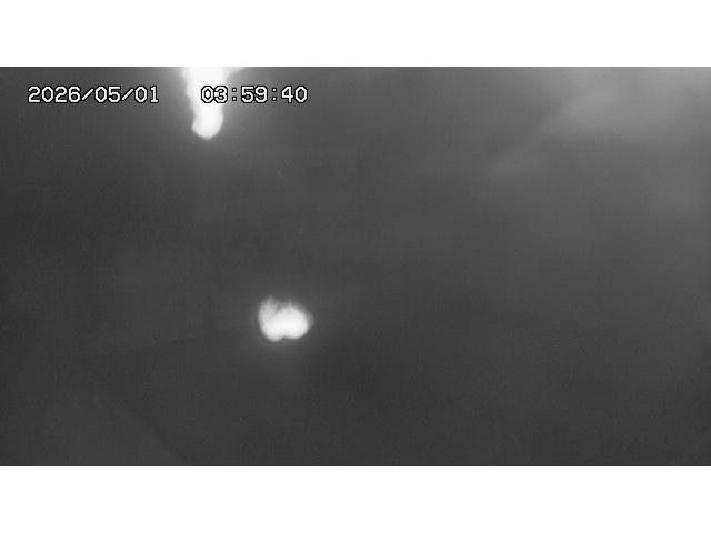 東郷ダム１（下流）2026/05/01 14:20:00
