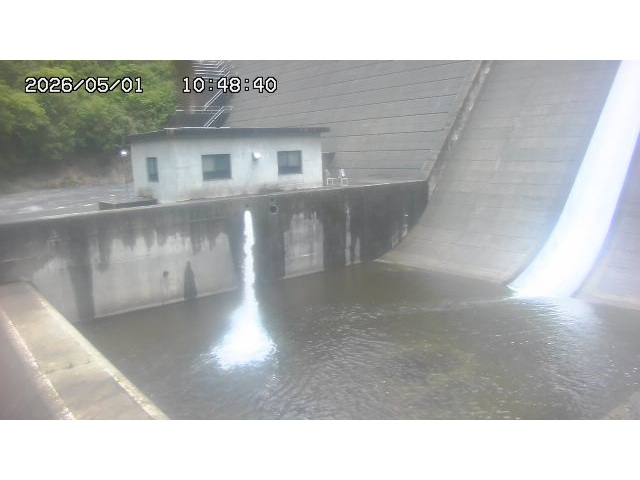 東郷ダム１（下流）2026/05/01 14:20:00