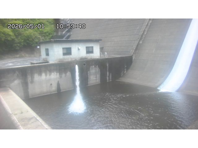 東郷ダム１（下流）2026/05/01 14:20:00