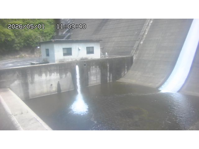 東郷ダム１（下流）2026/05/01 14:20:00
