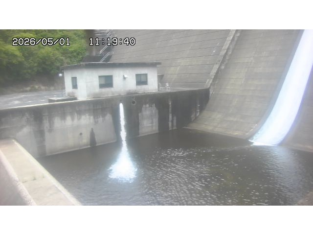 東郷ダム１（下流）2026/05/01 14:20:00