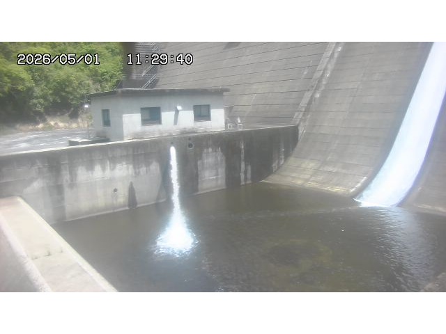 東郷ダム１（下流）2026/05/01 14:20:00