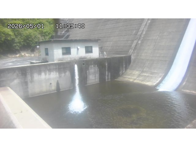 東郷ダム１（下流）2026/05/01 14:20:00