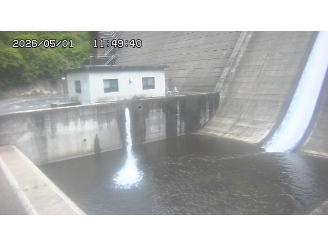 東郷ダム１（下流）2026/05/01 14:20:00