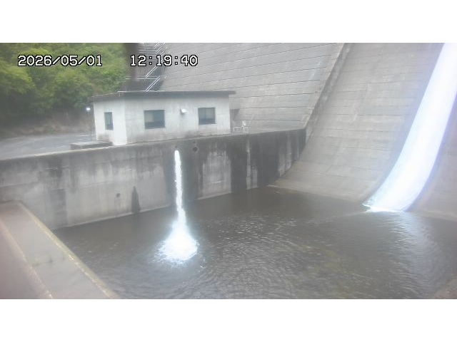 東郷ダム１（下流）2026/05/01 14:20:00